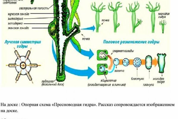 Войти даркнет