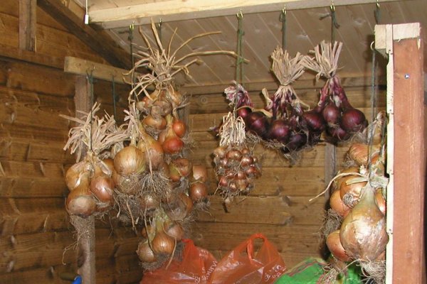 Кракен ссылка onion