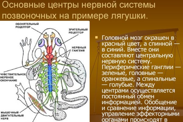 Как попасть на кракен с айфона