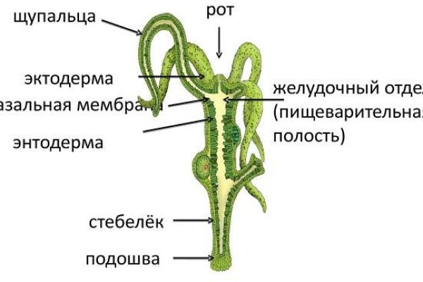 Кракен маркетплейс почему не закроют