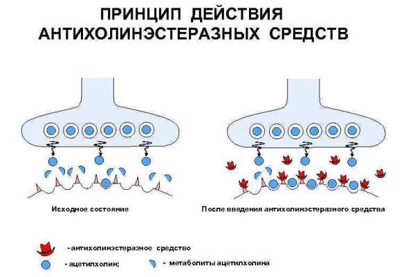 Кракен аватарка маркетплейс