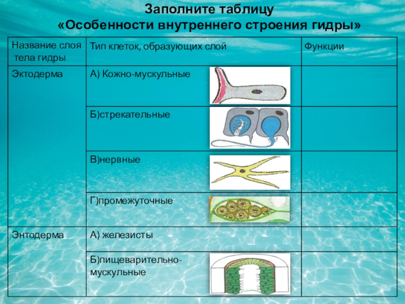 Кракен ссылка купить соли